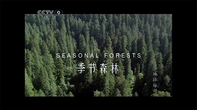 地球脉动S1E10
