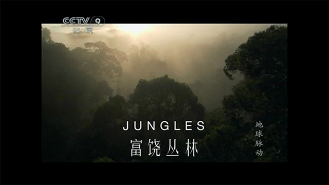 地球脉动S1E8
