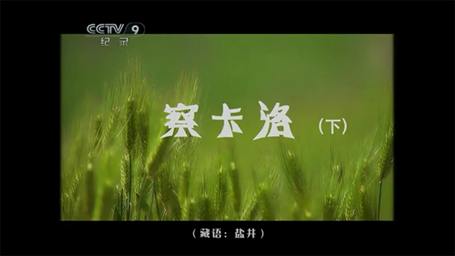 察卡洛2