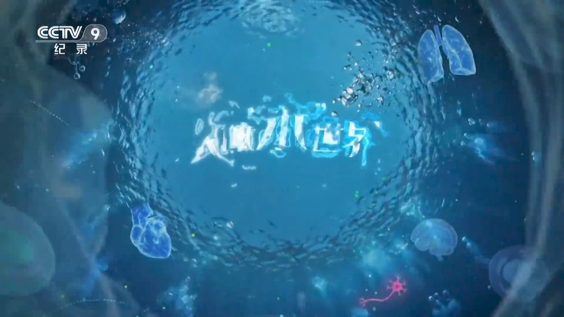 人体“水”世界