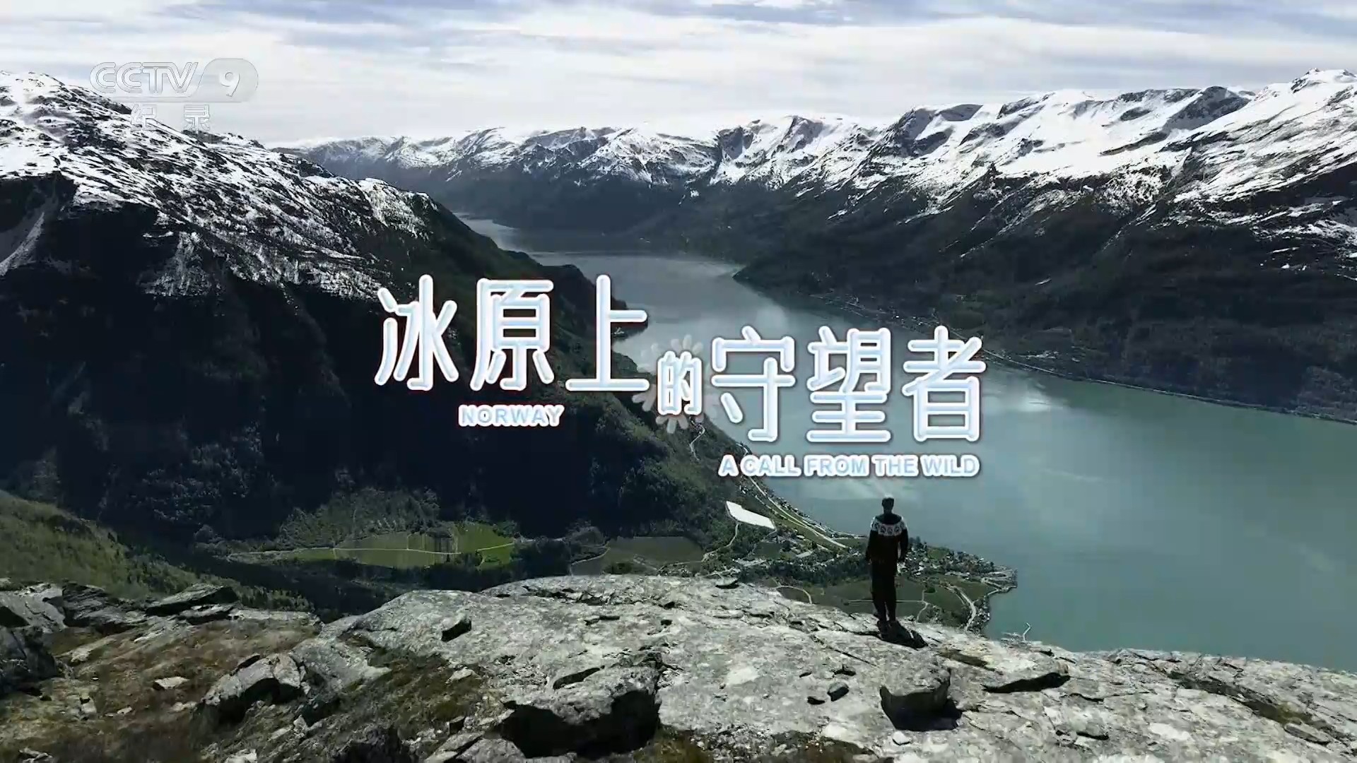 冰原上的守望者