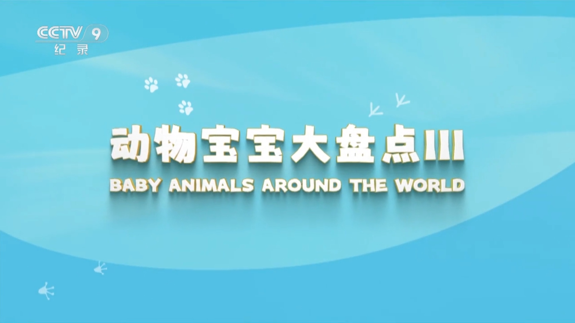 动物宝宝大盘点III
