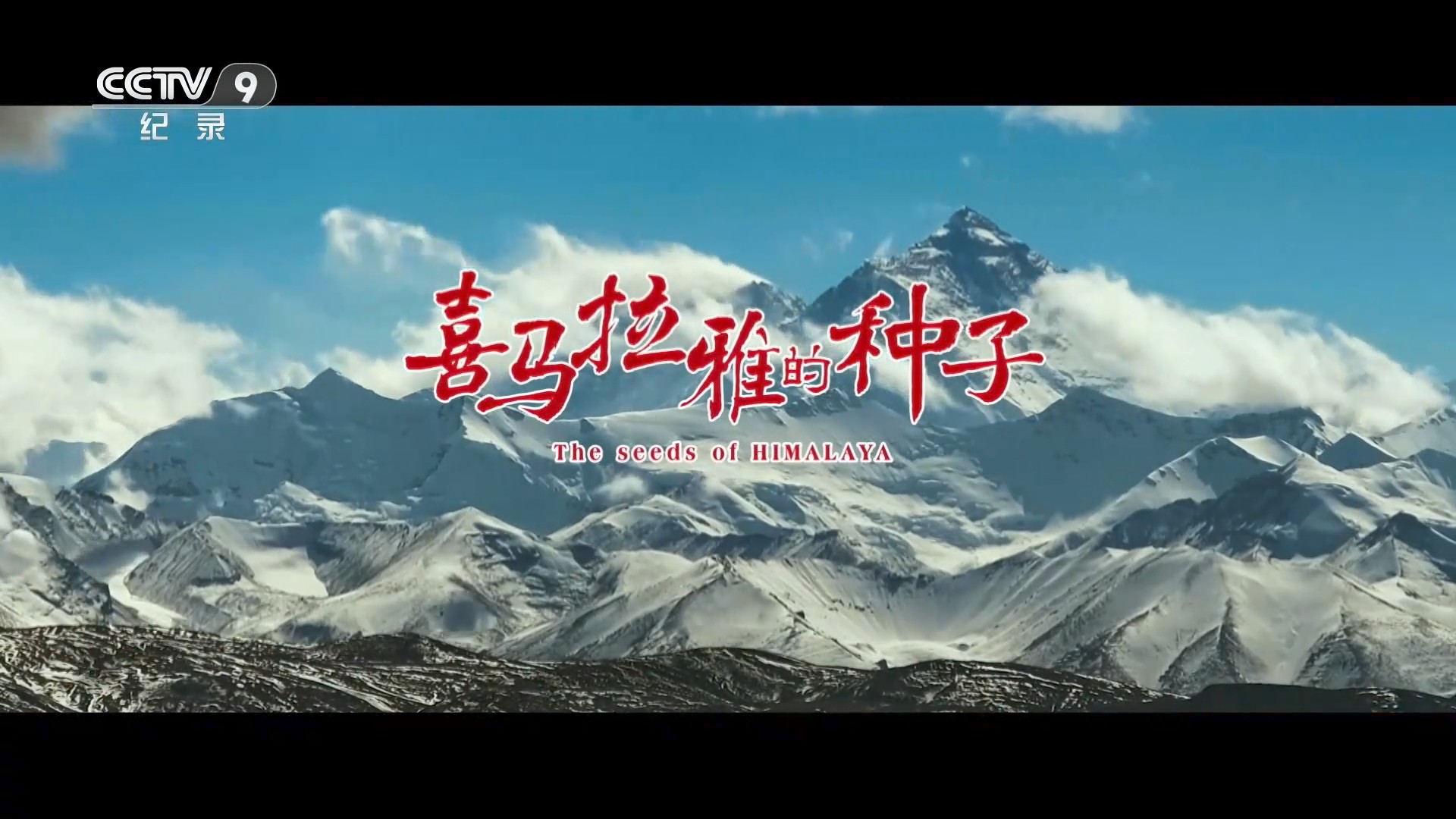 喜马拉雅的种子