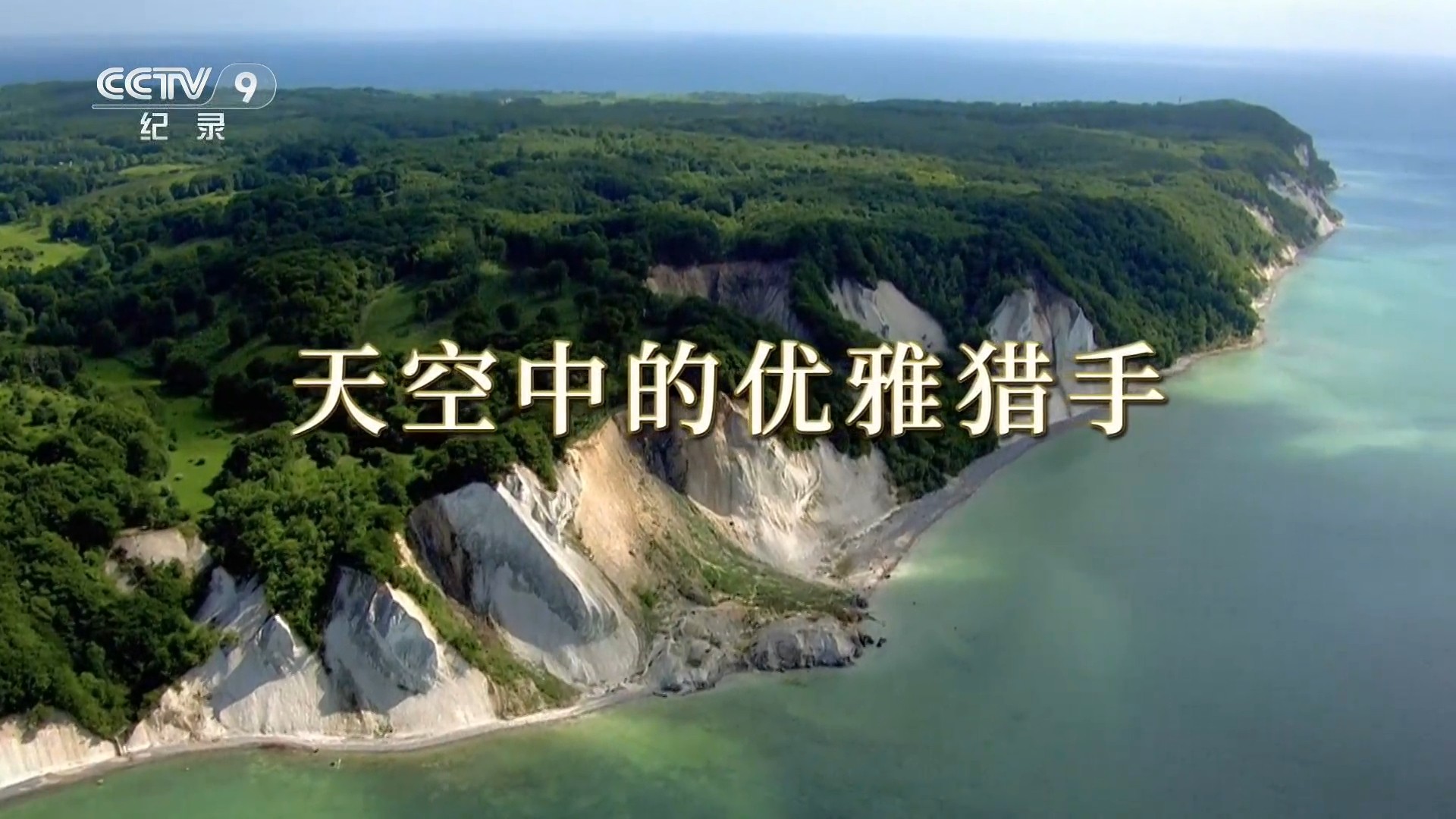 天空中的优雅猎手