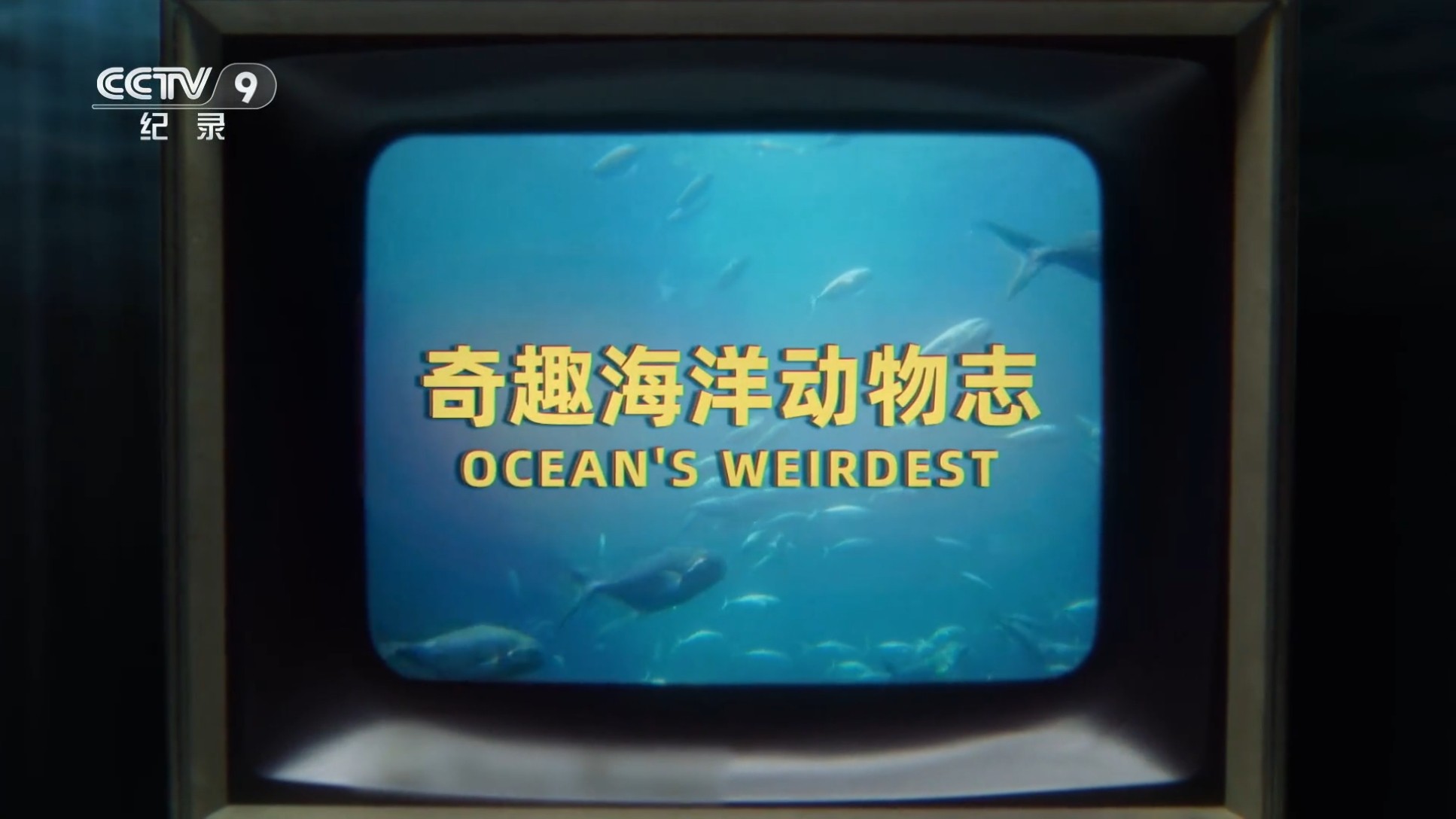 奇趣海洋动物志