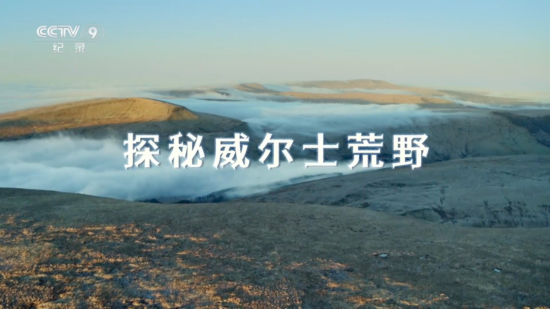 探秘威尔士荒野