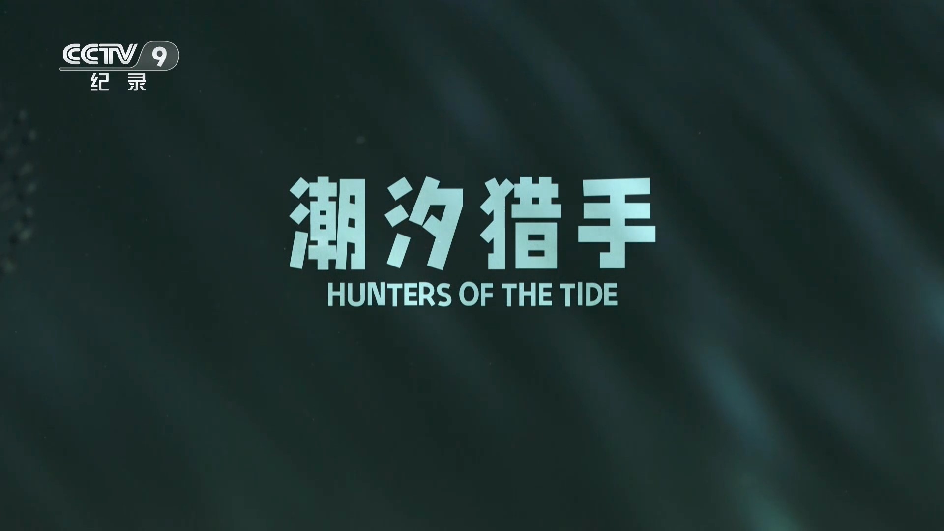 潮汐猎手