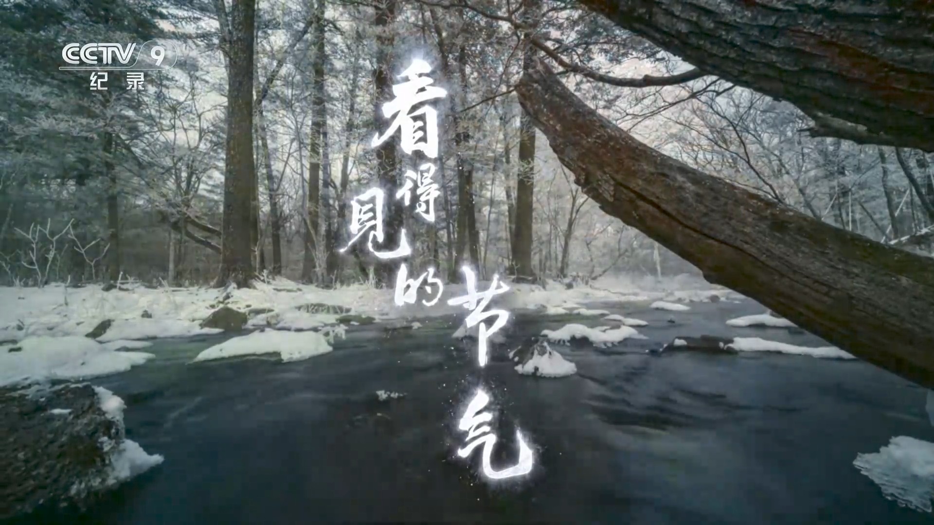 看得见的节气