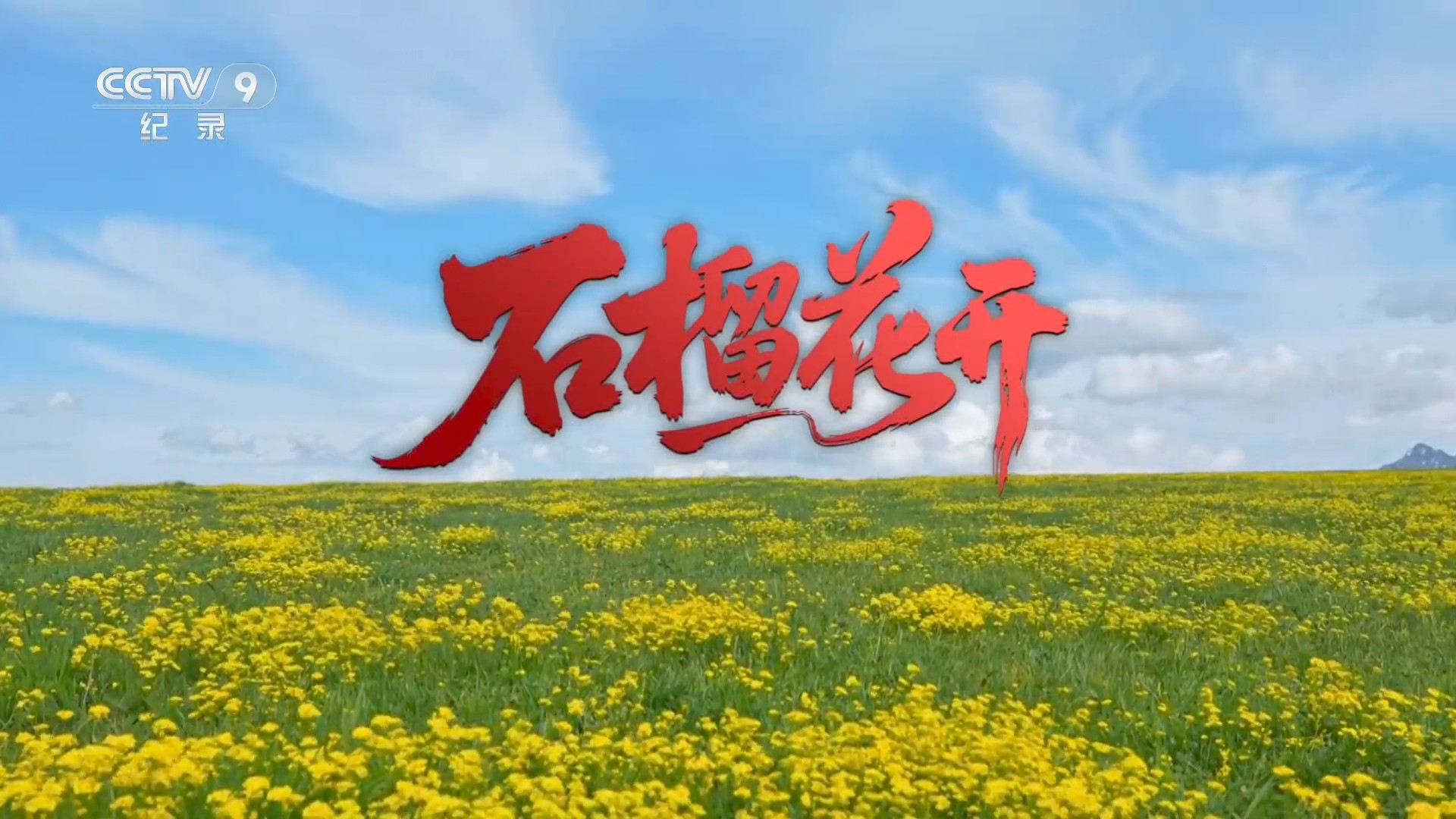 石榴花开