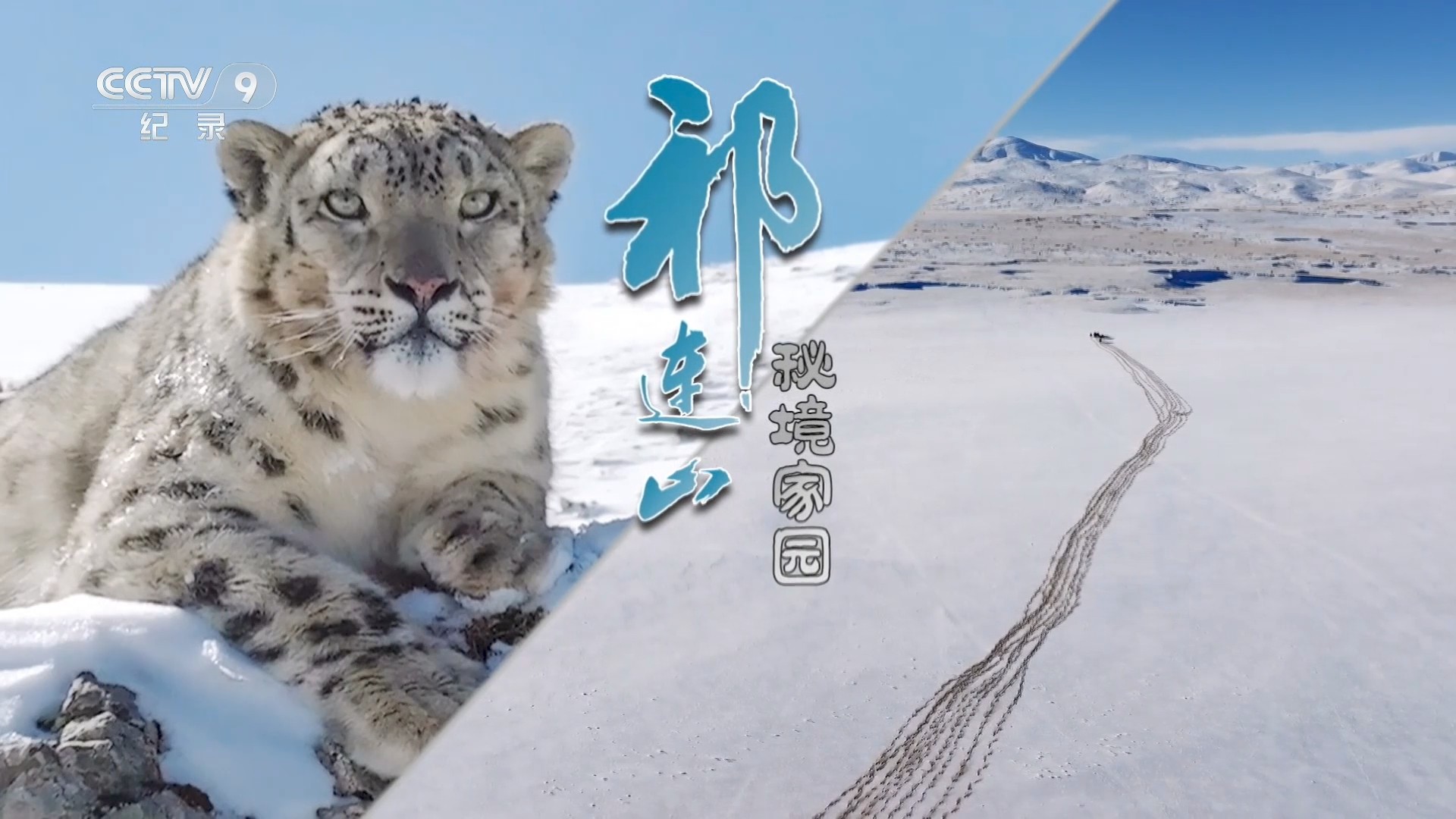 祁连山·秘境家园