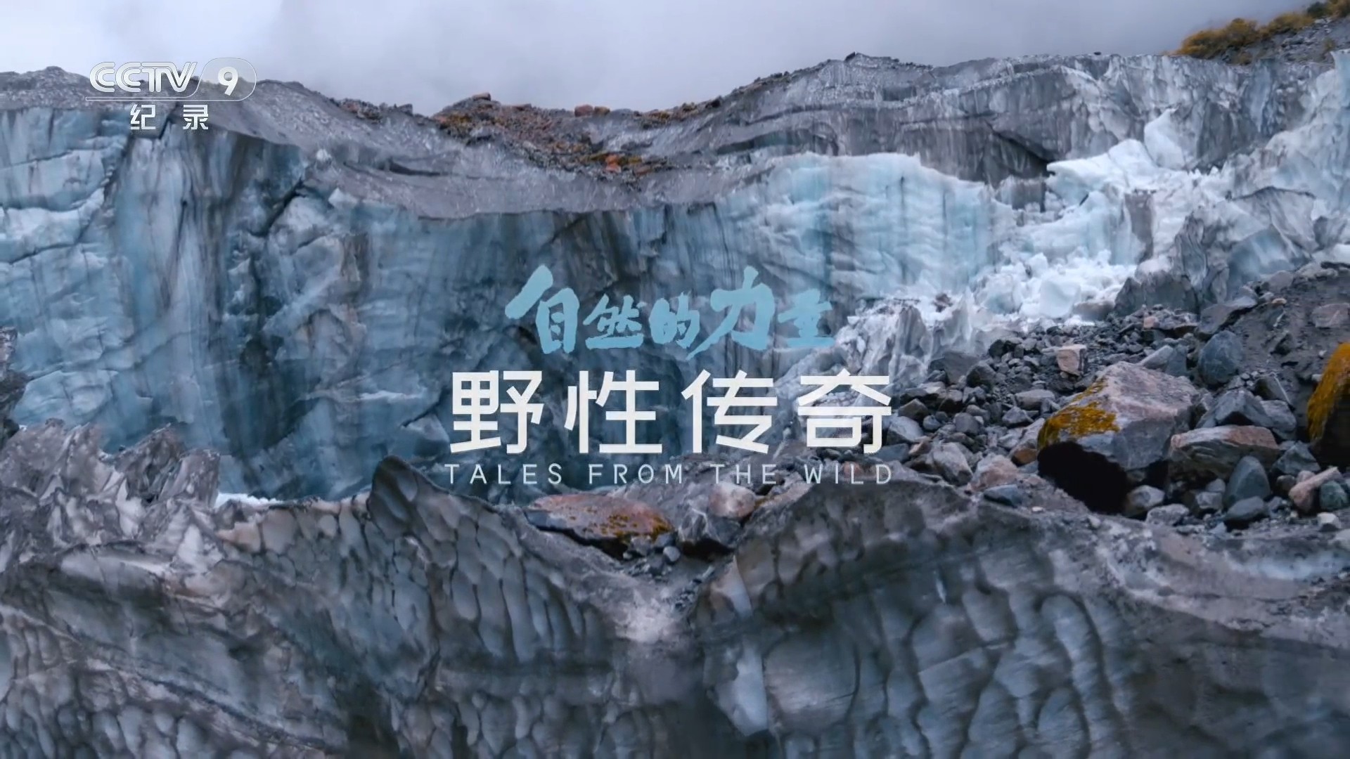 自然的力量·野性传奇