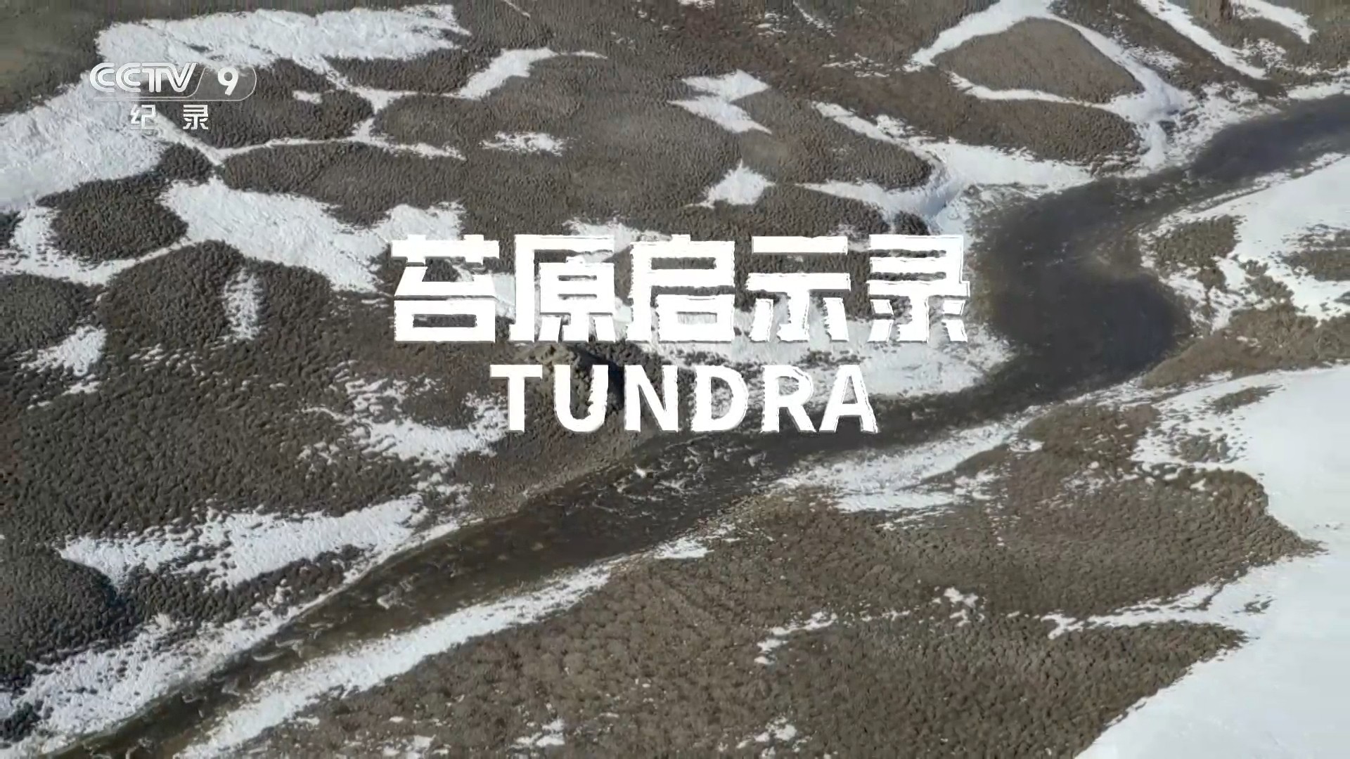 苔原启示录